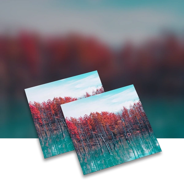 Magnetic Vinyl