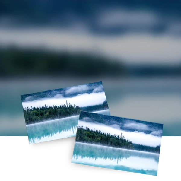 Magnetic Business Card